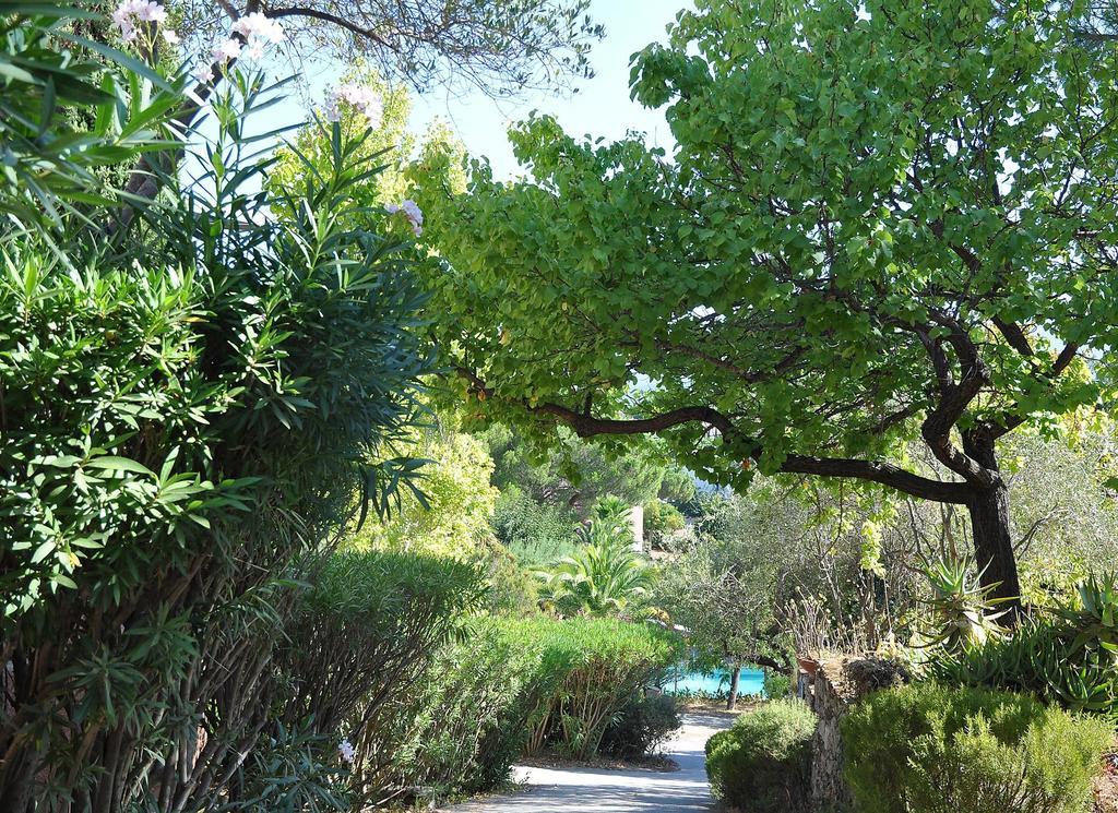 Fior Di Rena Apartment Saint-Florent (Corsica)