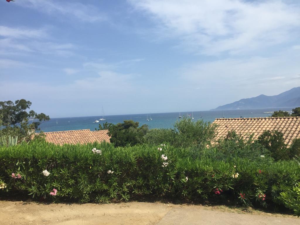 Fior Di Rena *