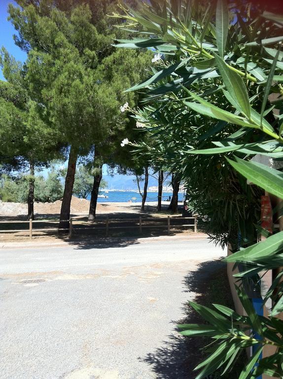Apartment Fior Di Rena Saint-Florent (Corsica)